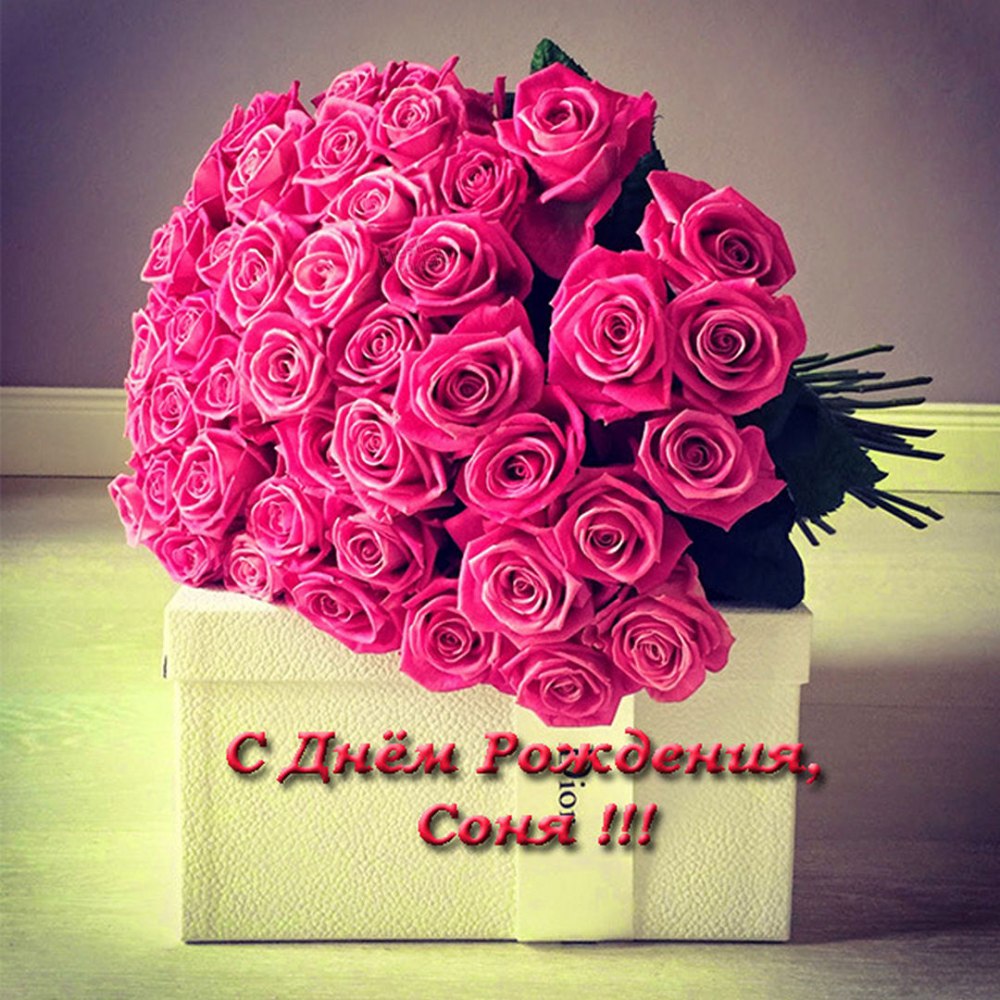 С днём рождения девушке