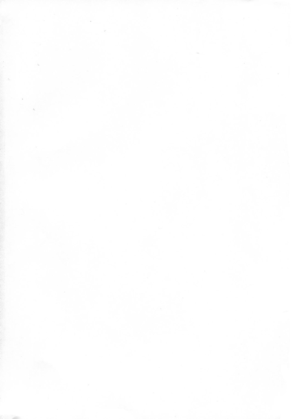 Monocolor White ral9016 PG 01