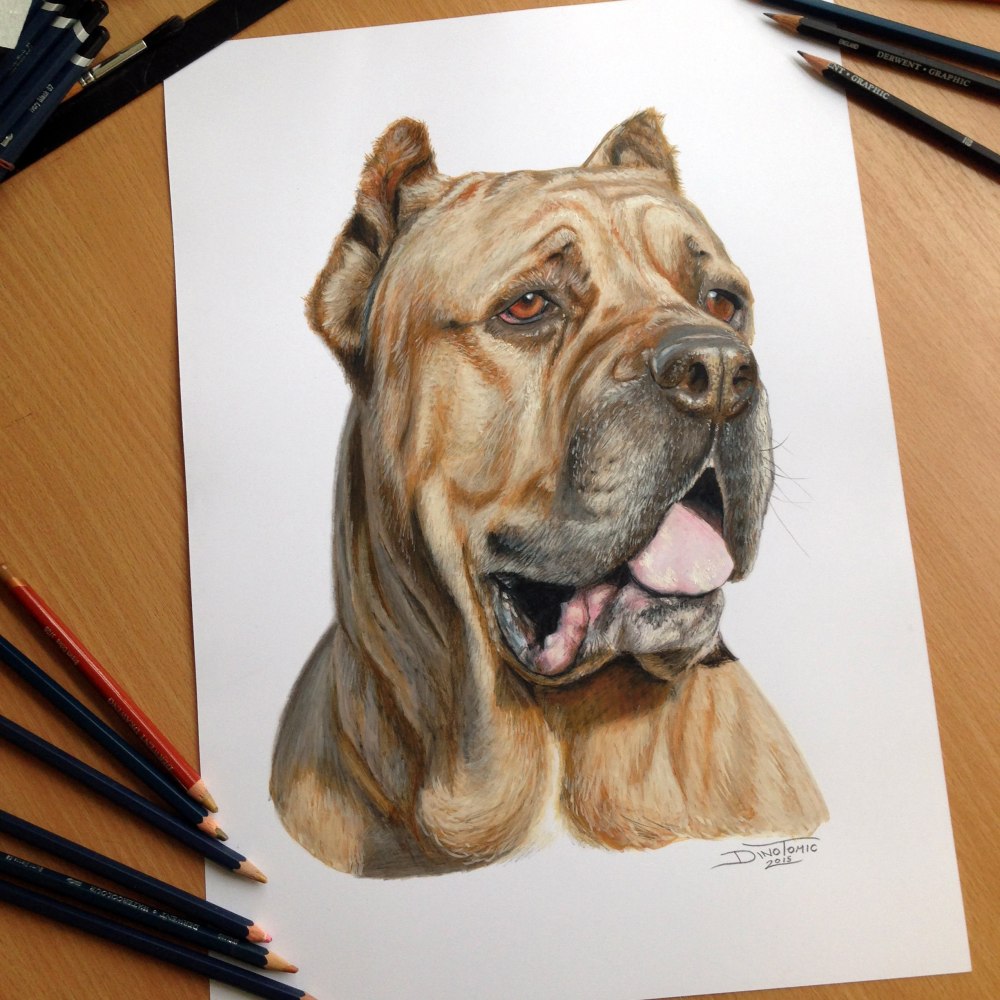 Художник Dino Tomic