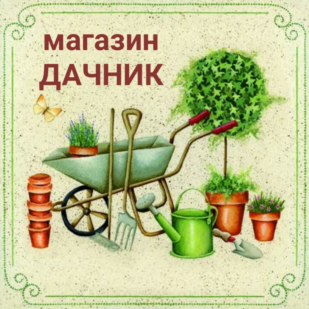 Шарж Дачник