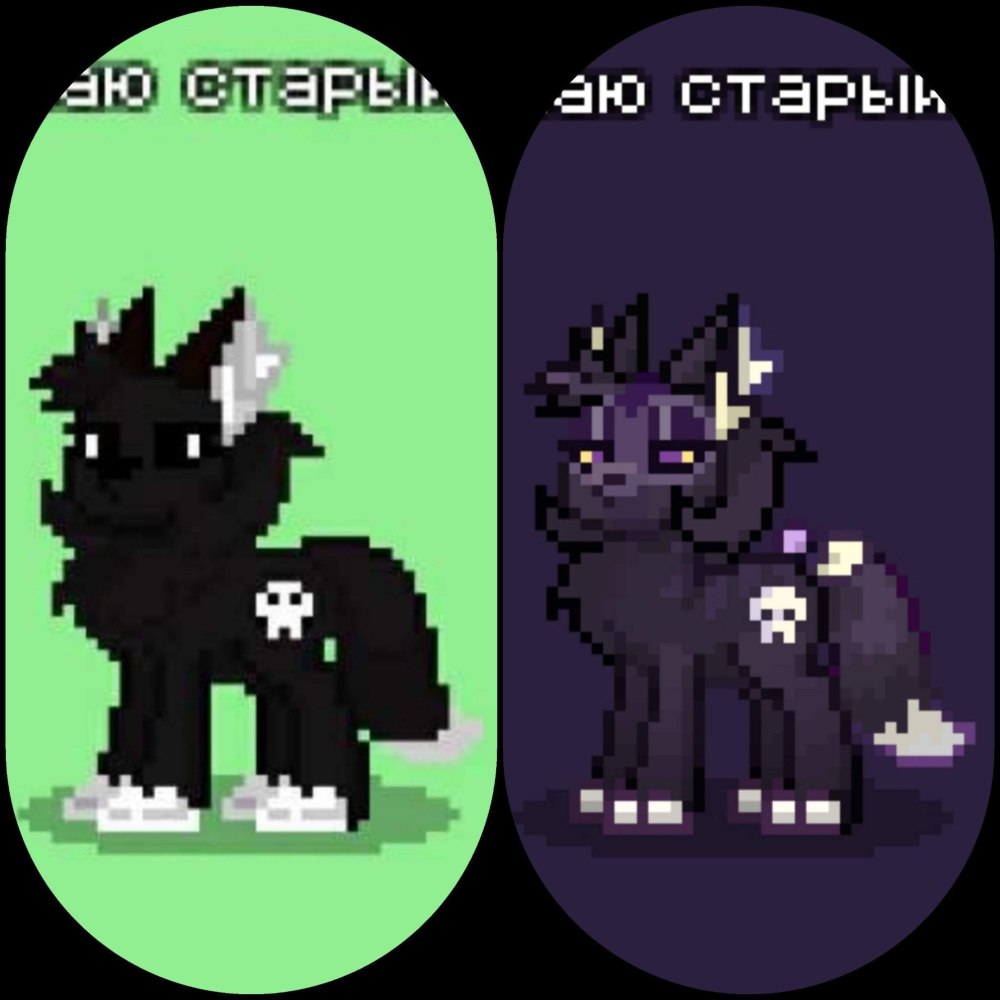 Пони Таун одежда