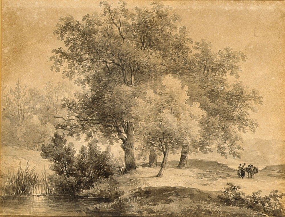 Графика природа в сепии