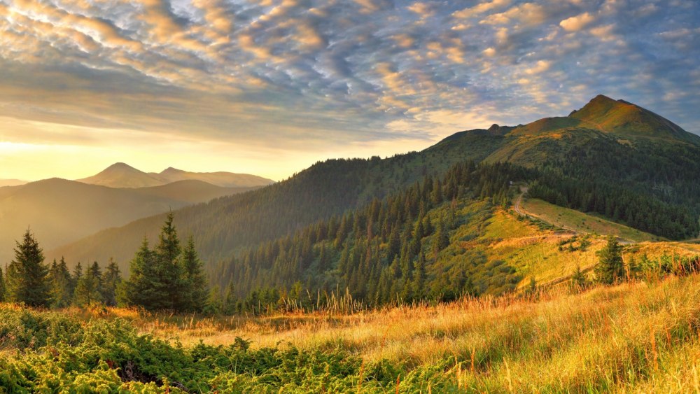 Предгорье Карпат