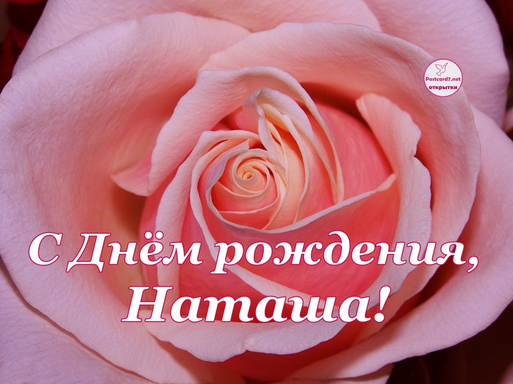 С дднемрождения нататаша