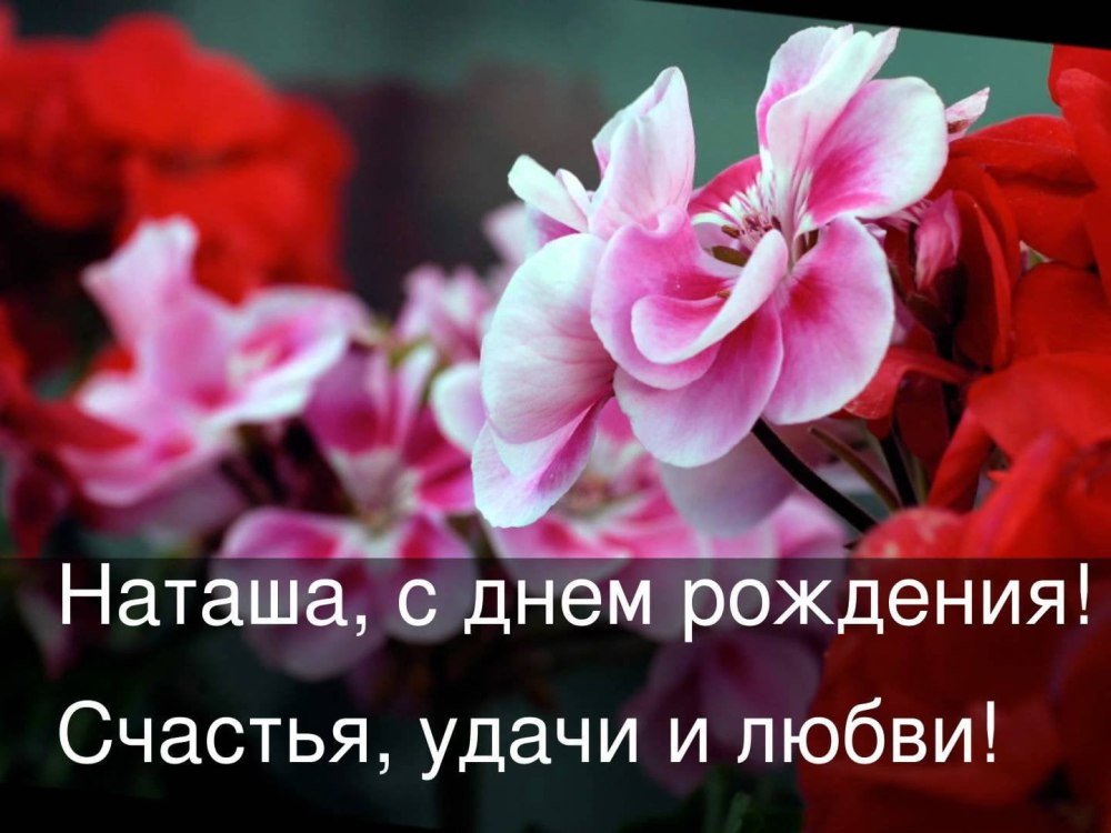 Стднем рождения Наташа
