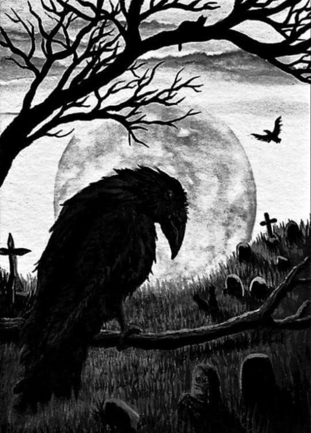 Void череп птицы