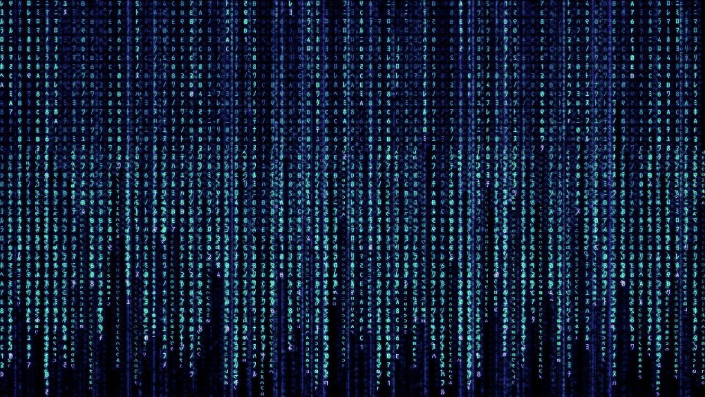 Информатика фон