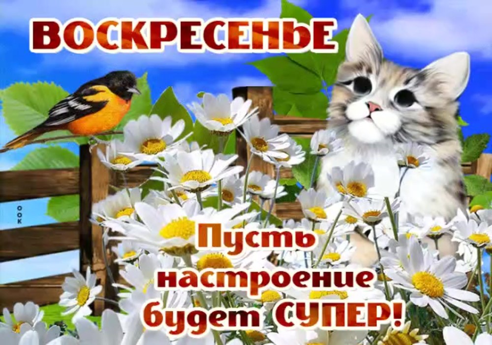 Отличного воскресного денечка
