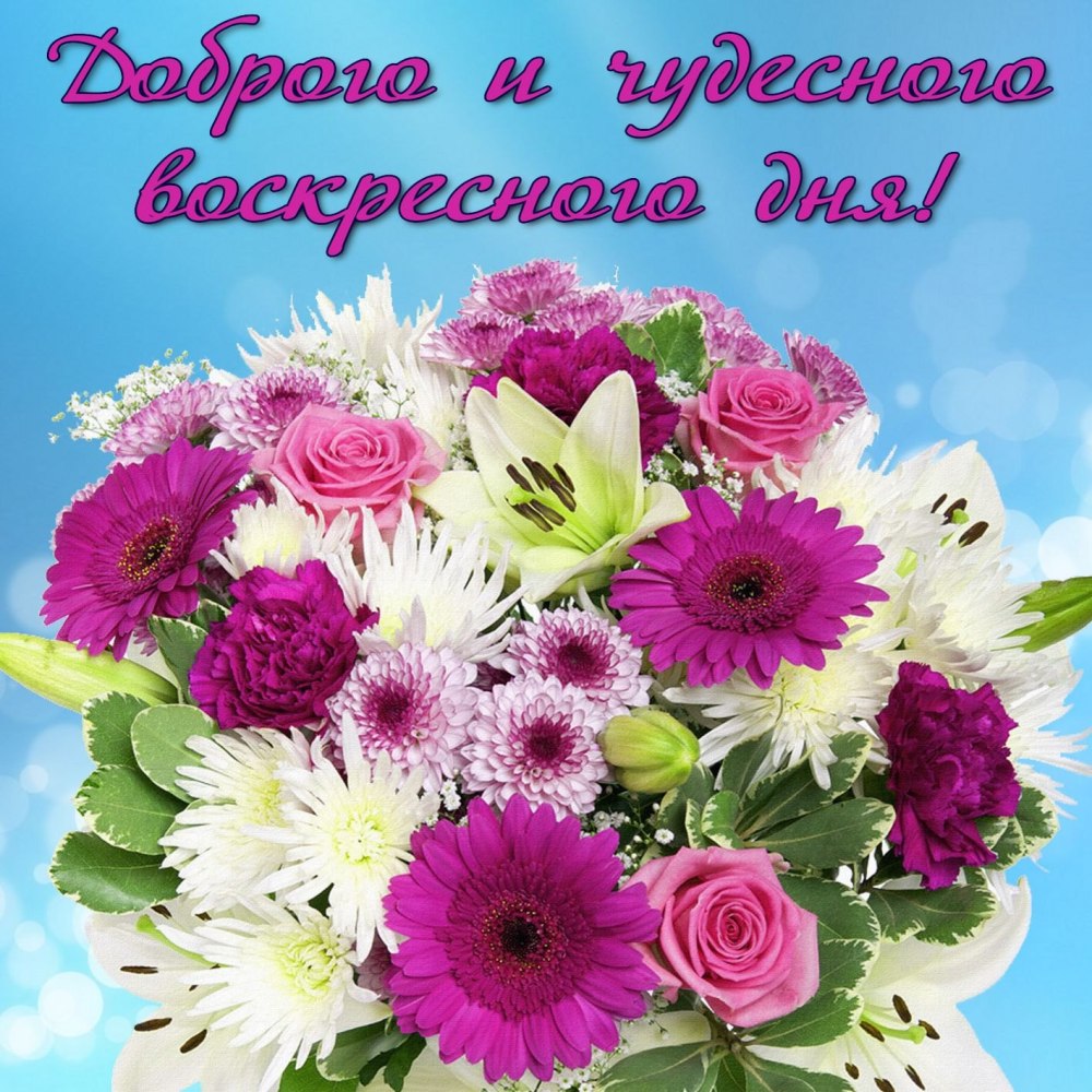 Прекрасного воскресного дня