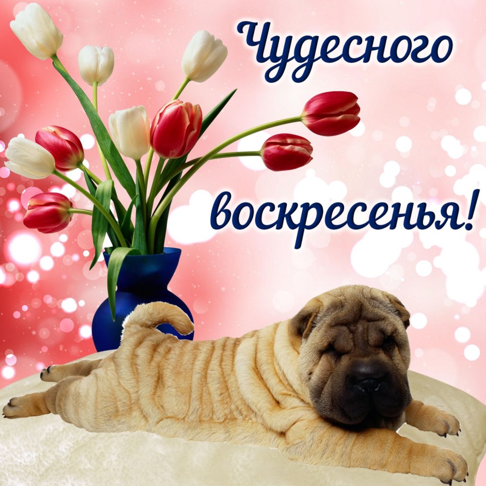 Поздравление с воскресеньем
