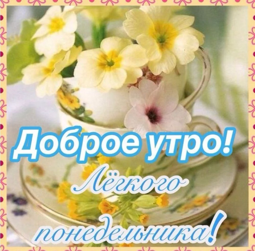 Открытки с добрым утром понедельника летние