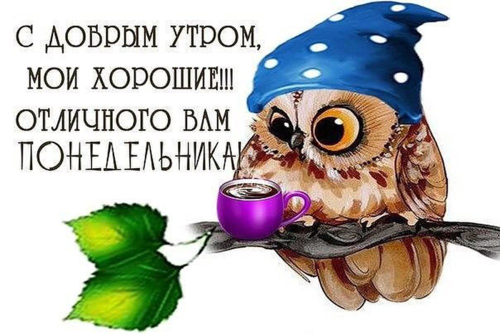 Лёгкого понедельника и хорошего настроения