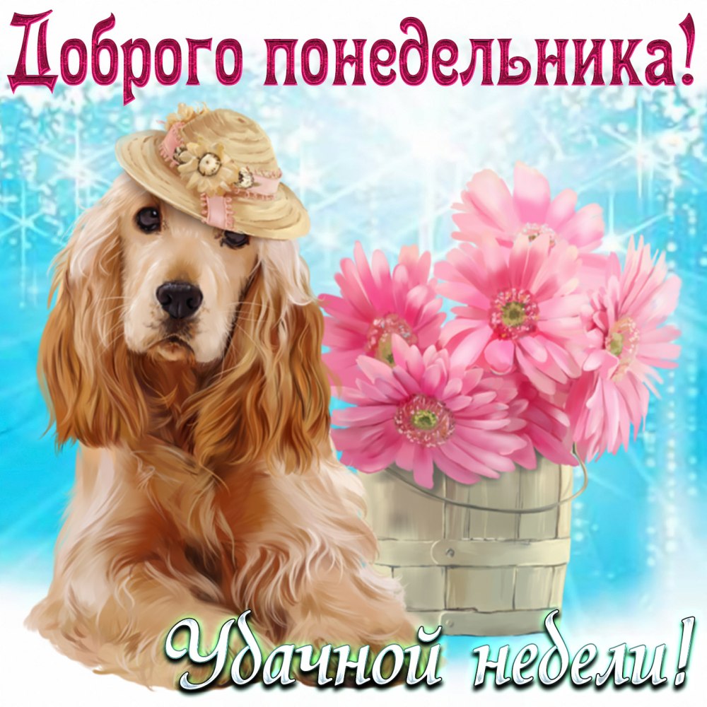 Пожелания доброго утра и хорошего дня