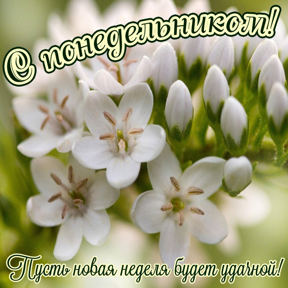 Доброе утро счастье