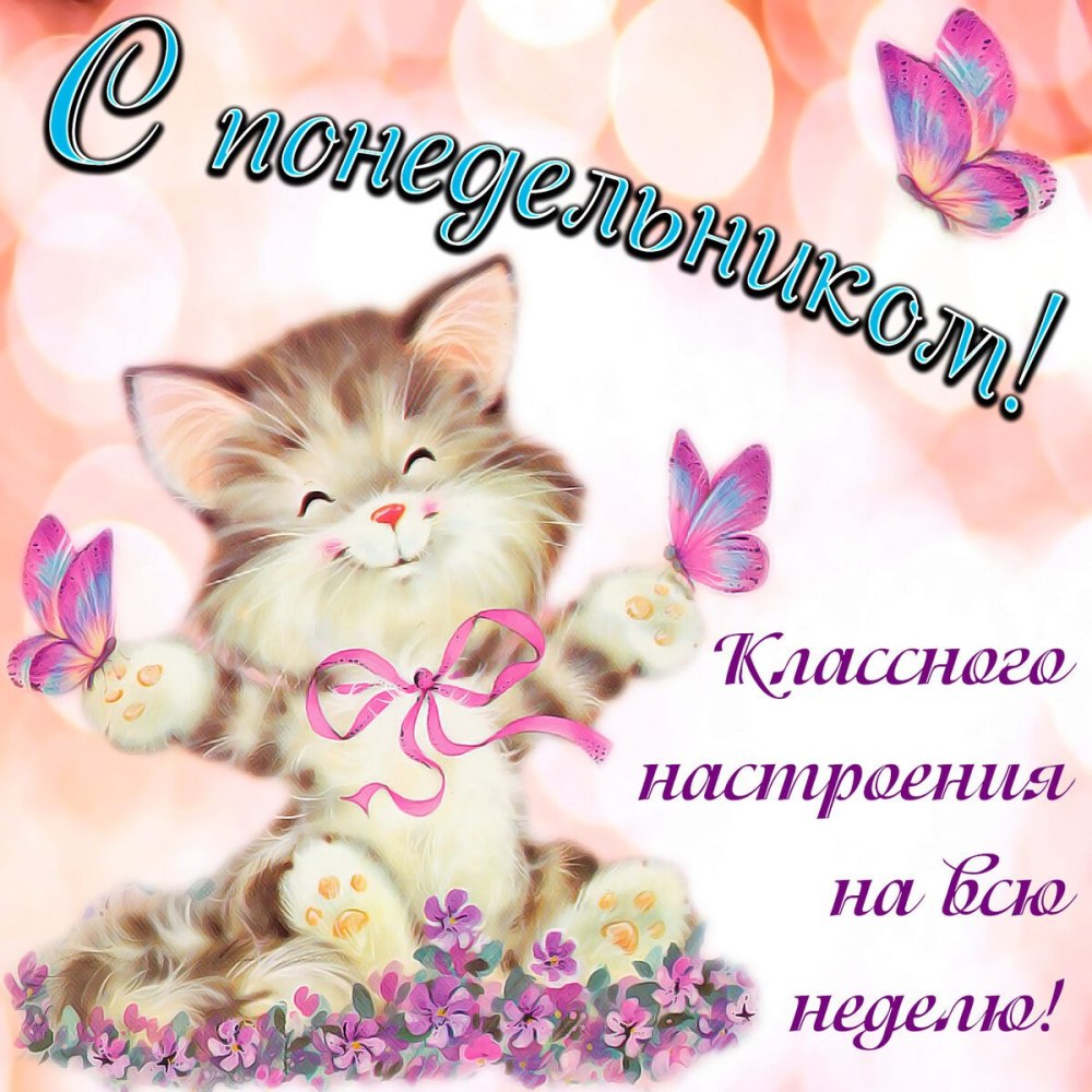 Пожелания на понедельник
