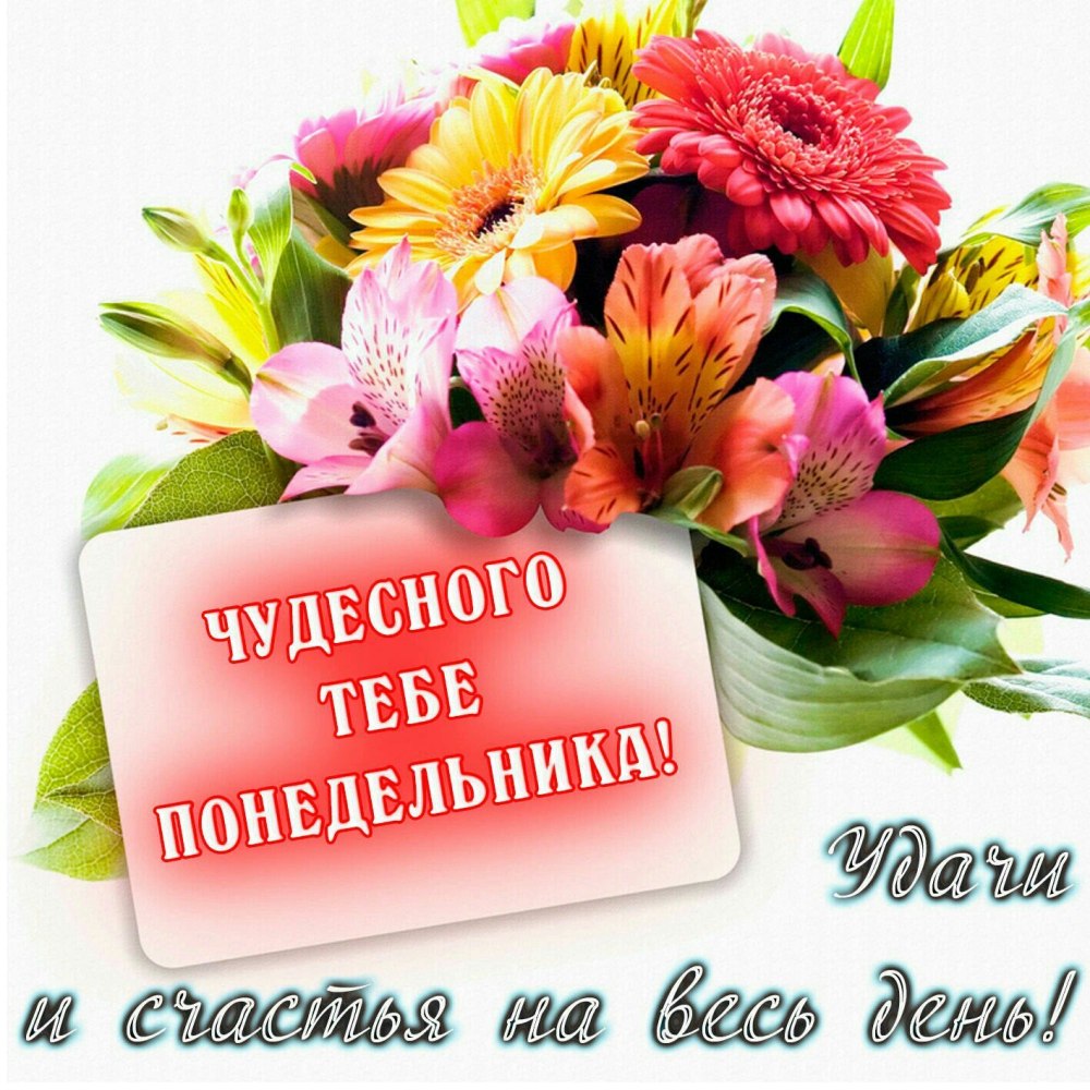 Пожелания на понедельник