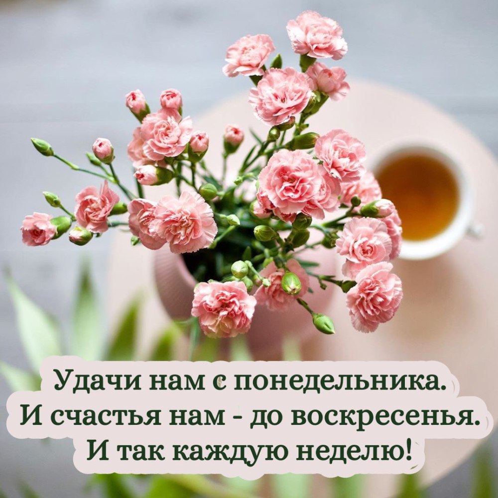 Пожелания на понедельник
