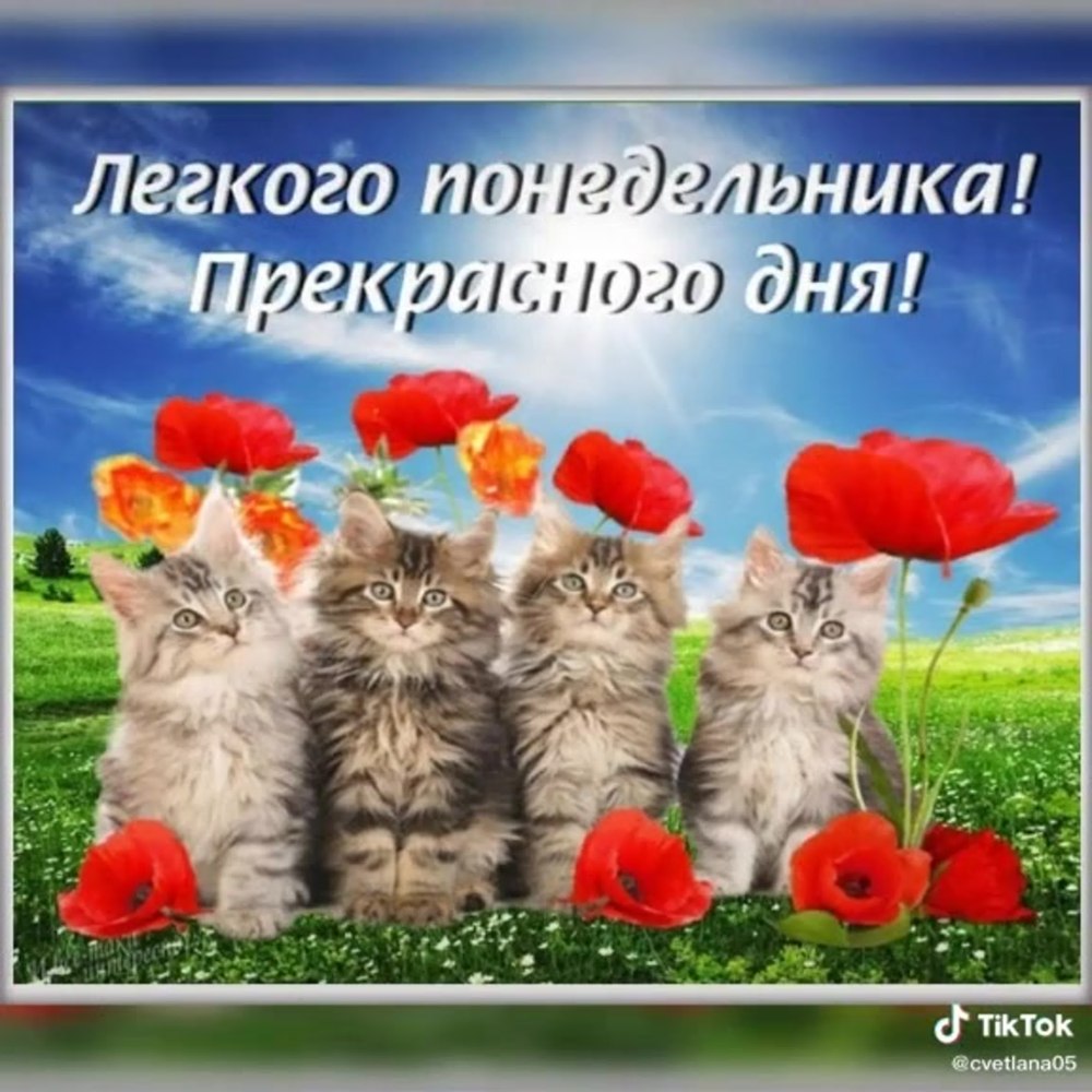 Поздравление с понедельником