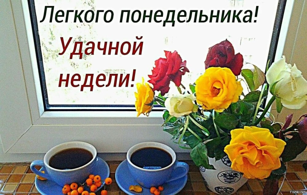 Стдньным утром понедельника