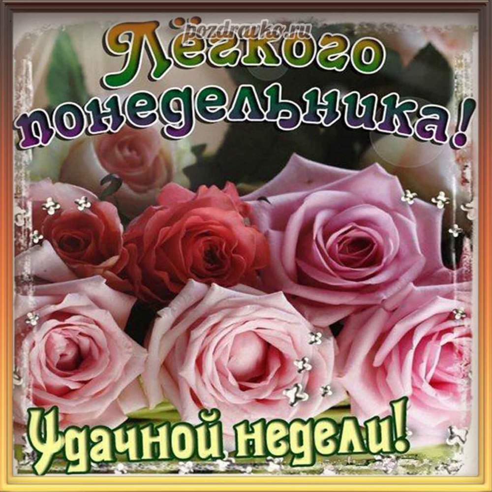 Добрый день понедельник лето