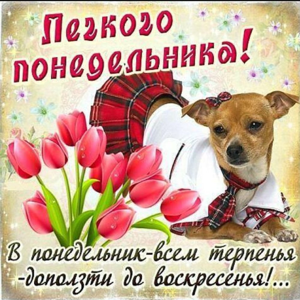 Красивое поздравление с понедельником