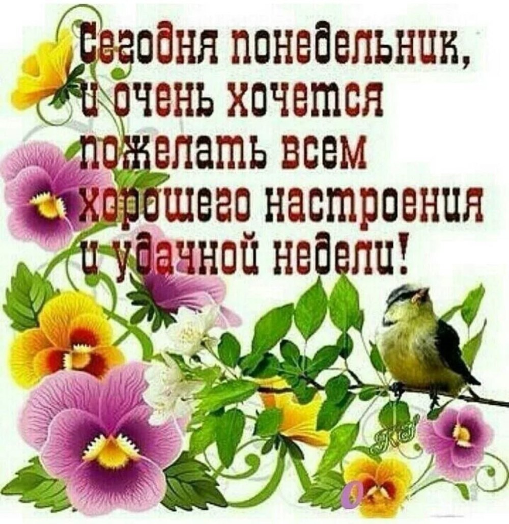 Доброе утро понедельника и удачной