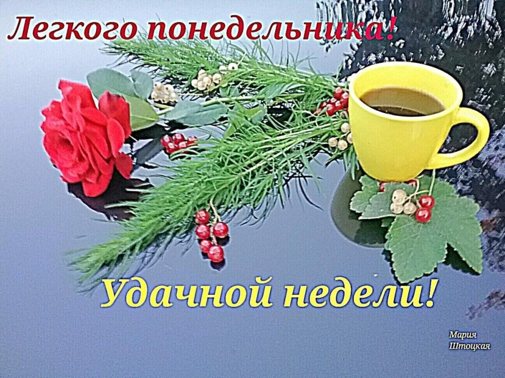 Дрброе УИРО понедельник