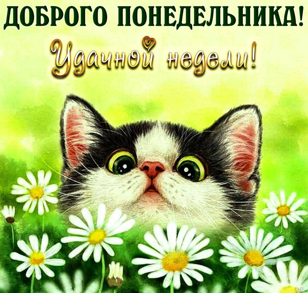 Доброе утро с понедельником позитивное
