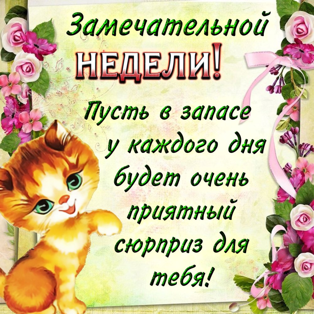 Доброго понедельника тюльпаны