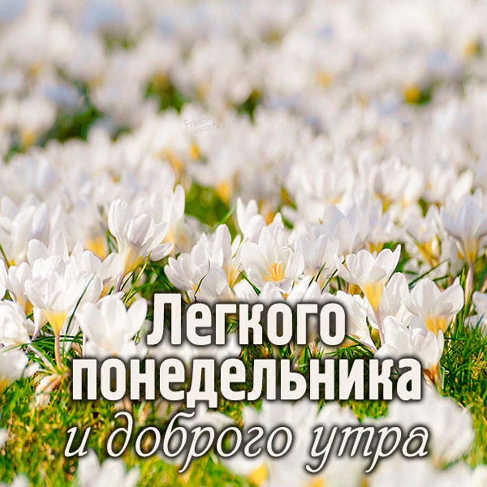Поздравления с юмором