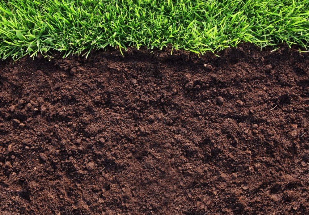 Garden Soil земля