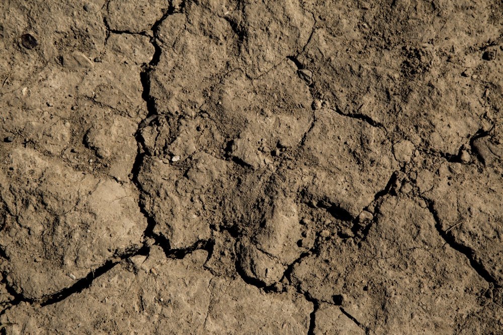 Dirt грязь