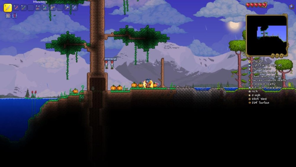 Terraria фон