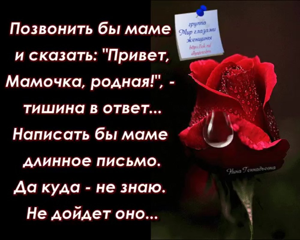 Светлая память