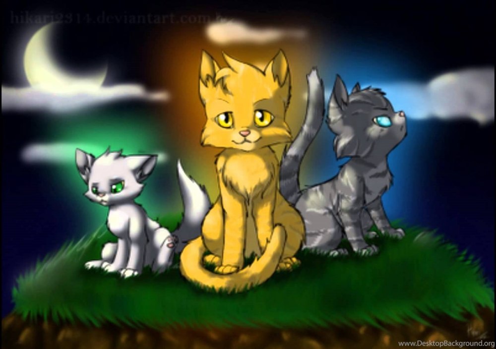 Warrior Clan Warriors Cats
