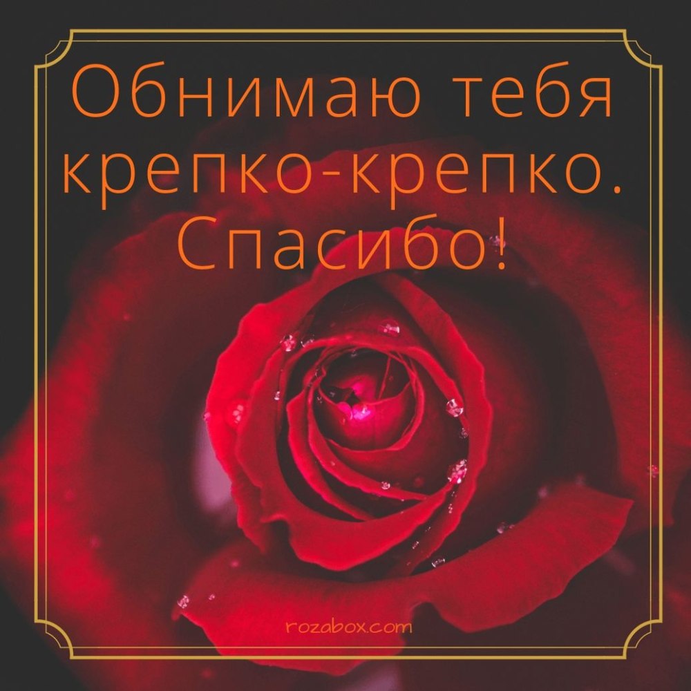 Спасибо сестра картинки