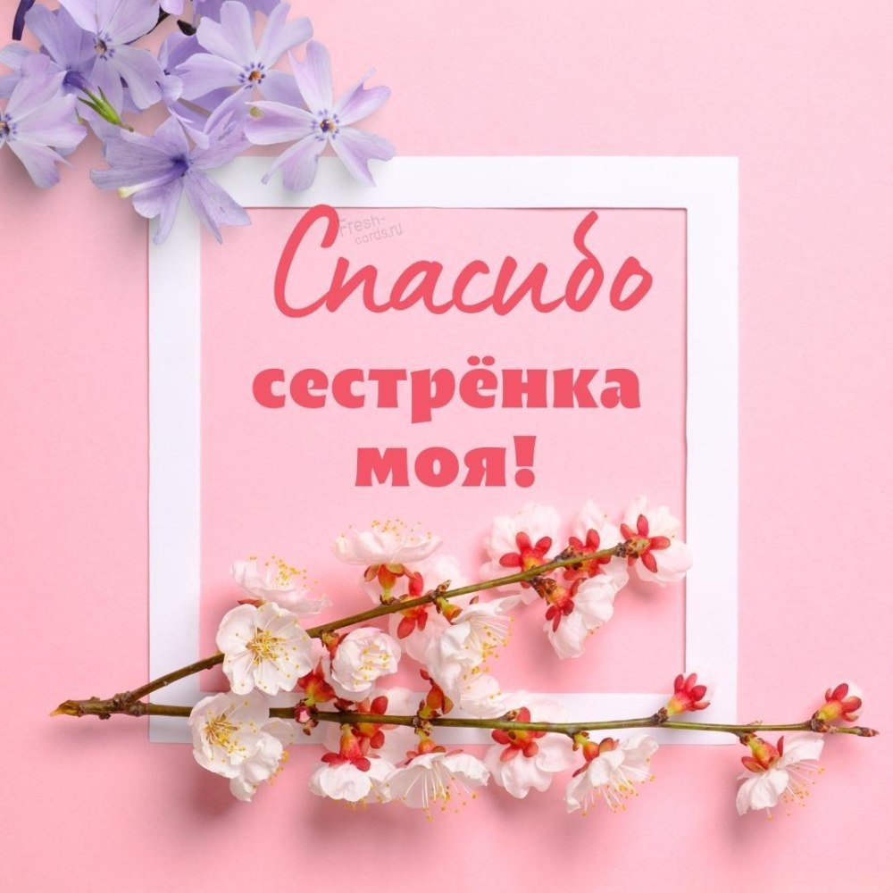 Спасибо сестренка