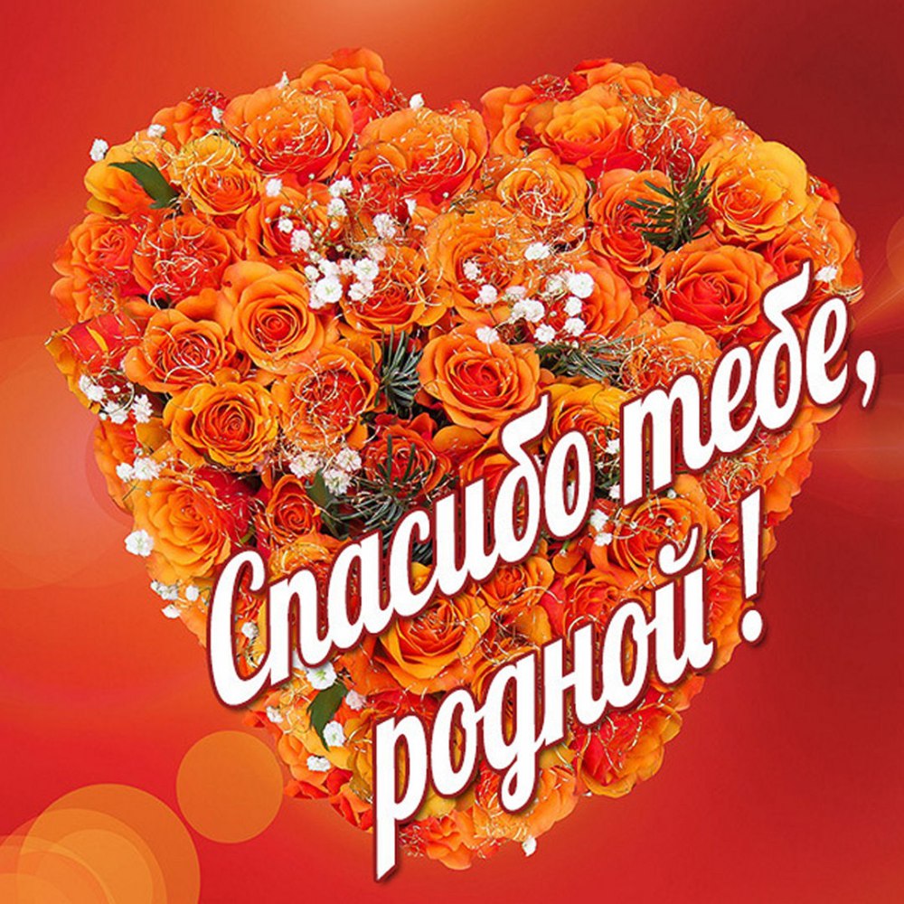Нежные цветы для тебя