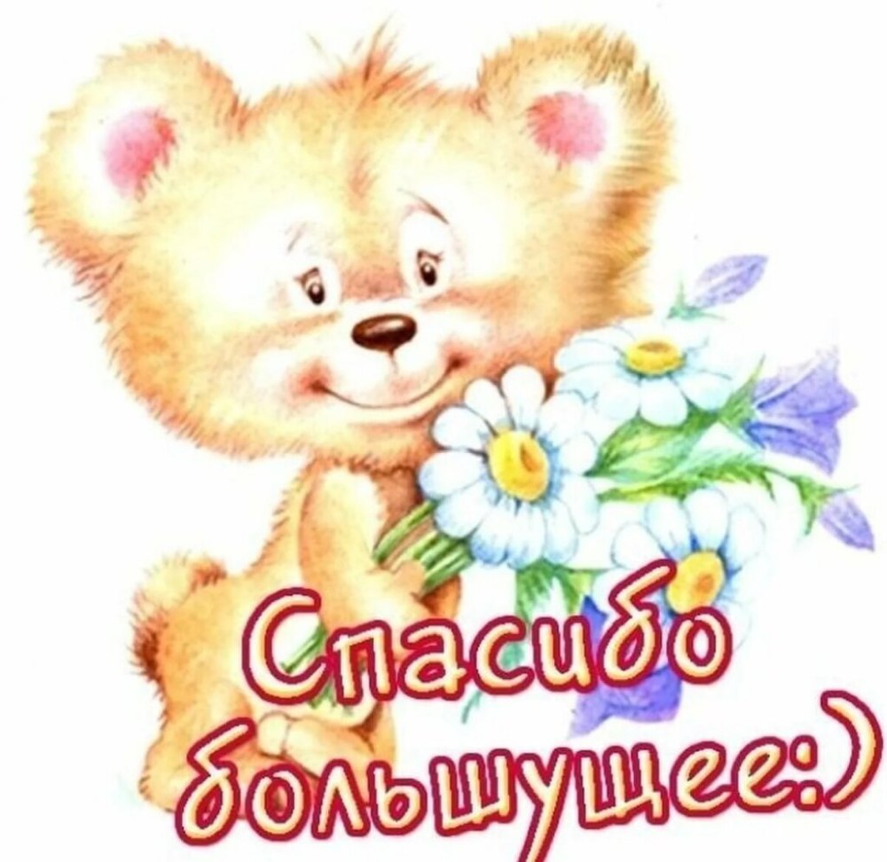 Цветы спасибо дорогая