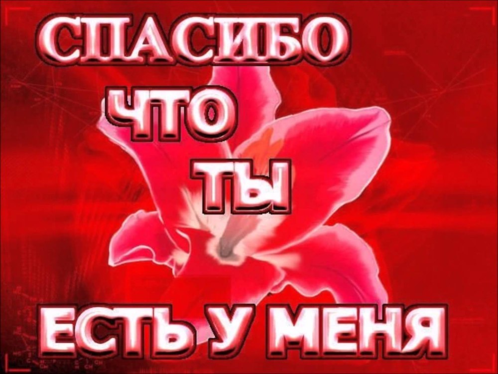 Медвежонок говорит спасибо