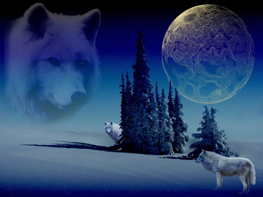 Волк в ночи