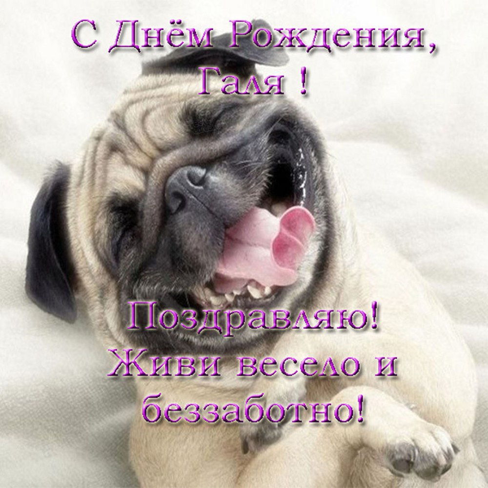 Поздравления с днём рождения торт
