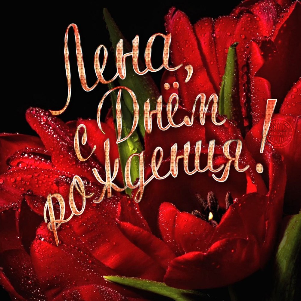 С днём рождения Галина