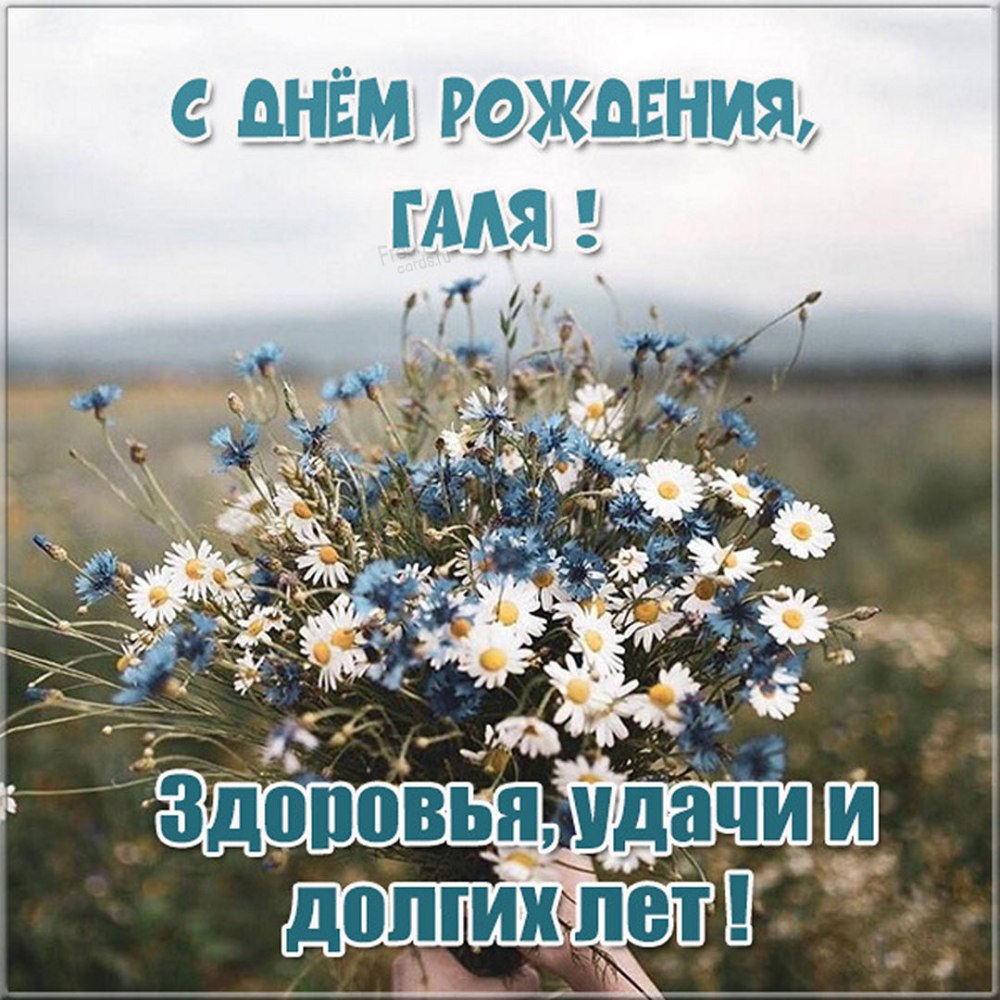 С днем рождения