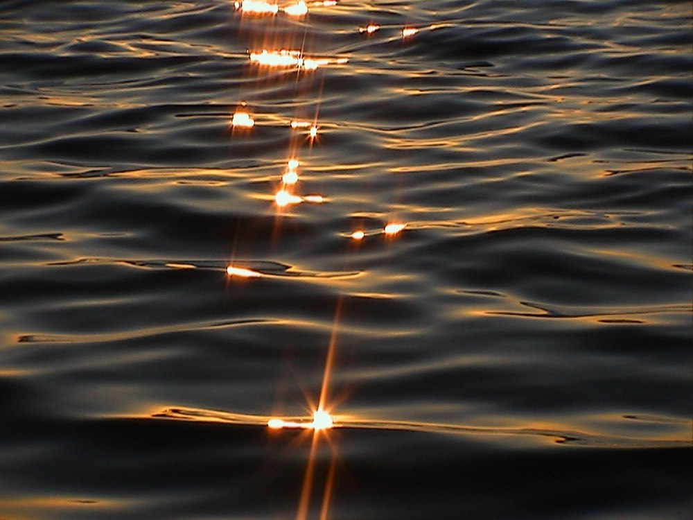 Солнечные блики на воде
