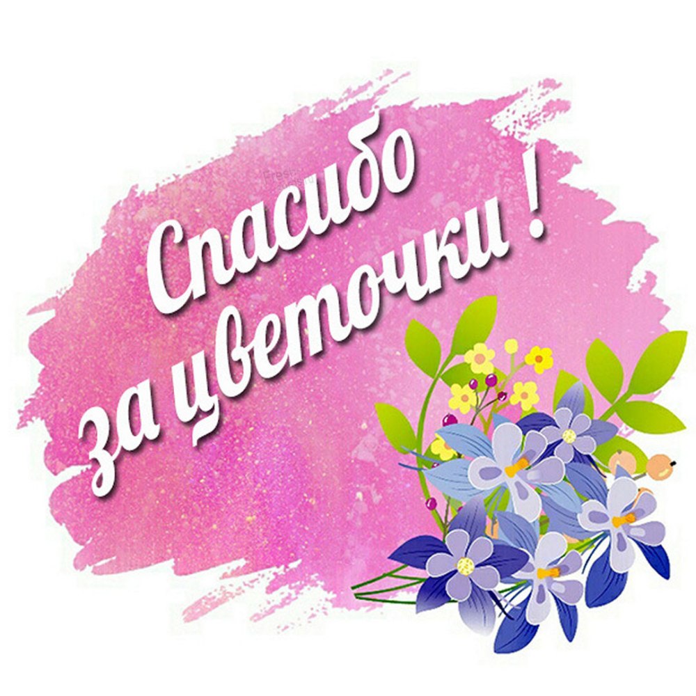 Спасибо большое за поздравления