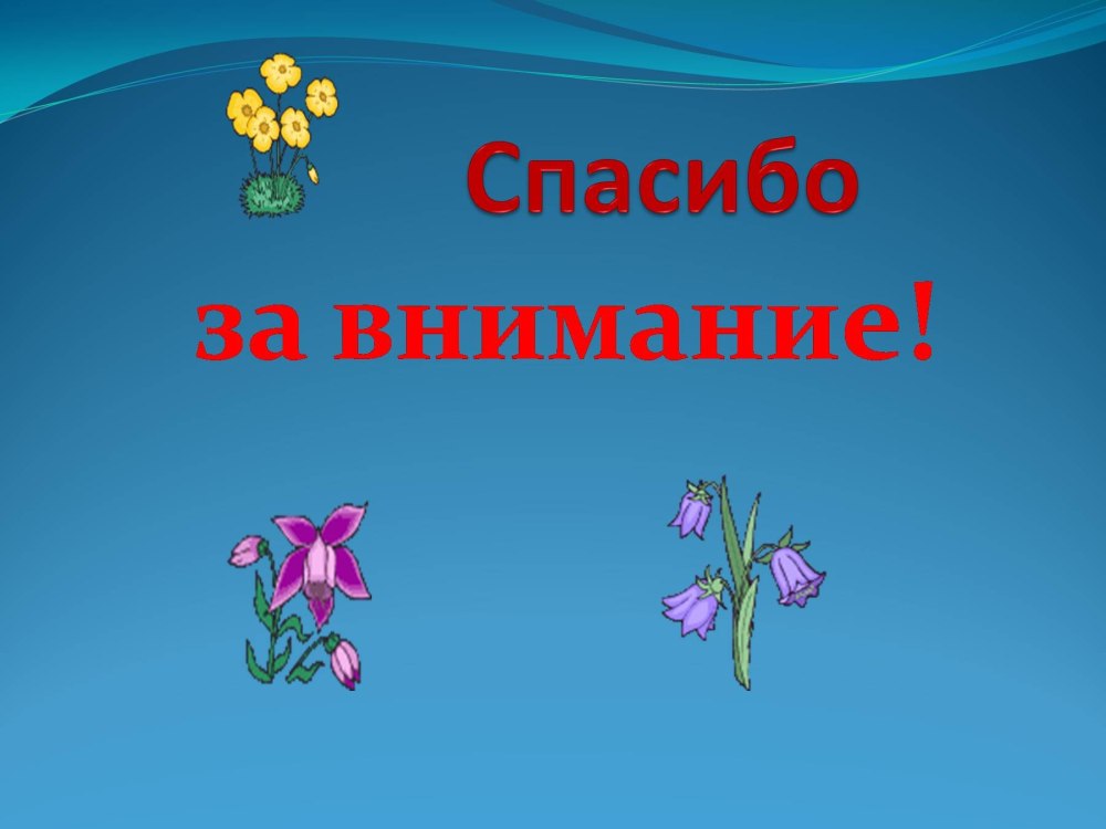 Спасибо Александра