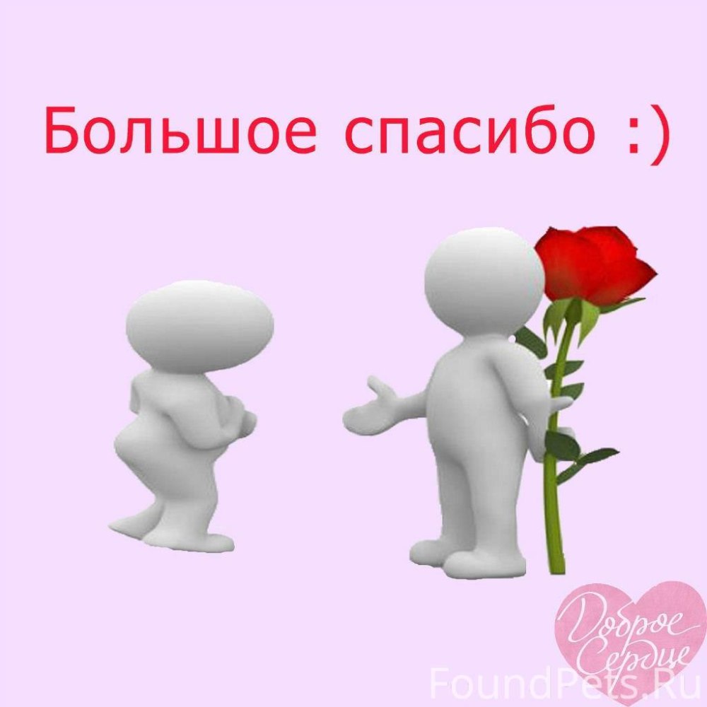 Открытки с благодарностью