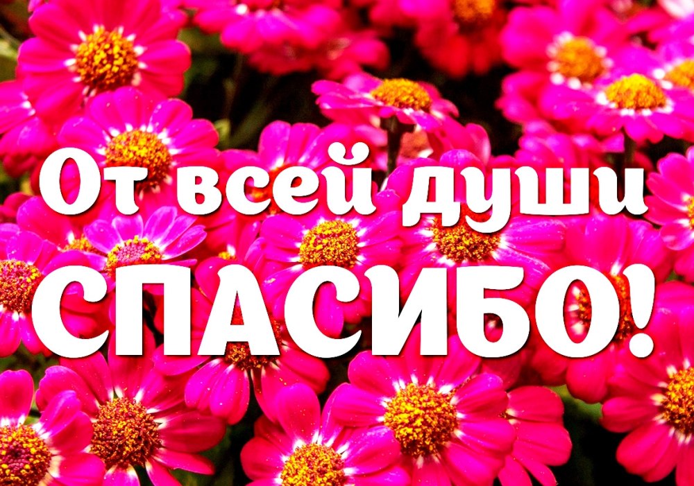 Букет спасибо моя хорошая