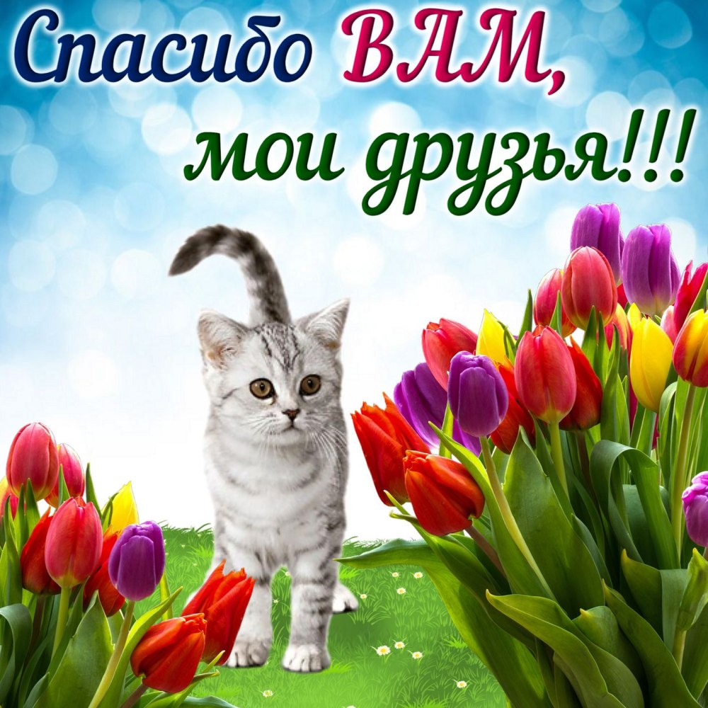 Открытка спасибо
